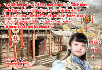 กุ่ยสิงเทียนเซี่ย หนึ่งหนู หนึ่งแมว ผ่าคดีปริศนา