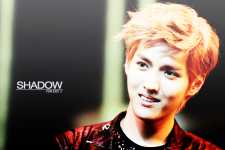 kris ' คริส exo-m