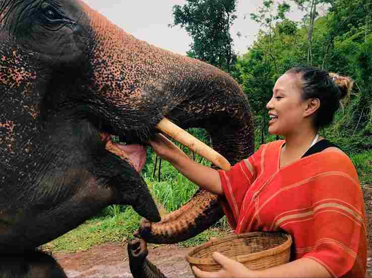 ethical-elephant-sanctuary-chiangmai Ethical Elephant Sanctuary Chiang Mai