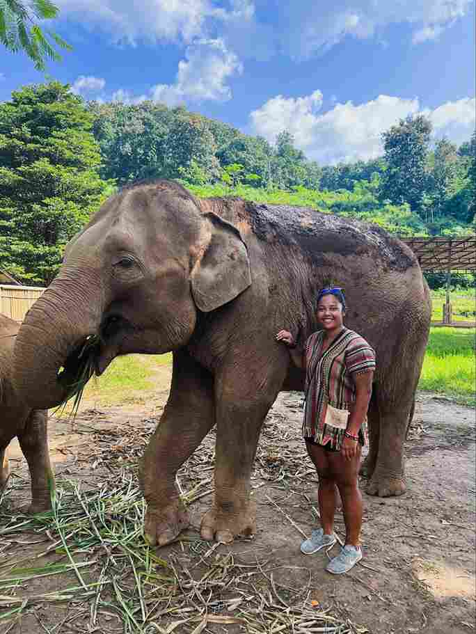 visitor-ethical-elephant-sanctuary-in-chiangmai Visitor Ethical Elephant Sanctuary in Chiang Mai