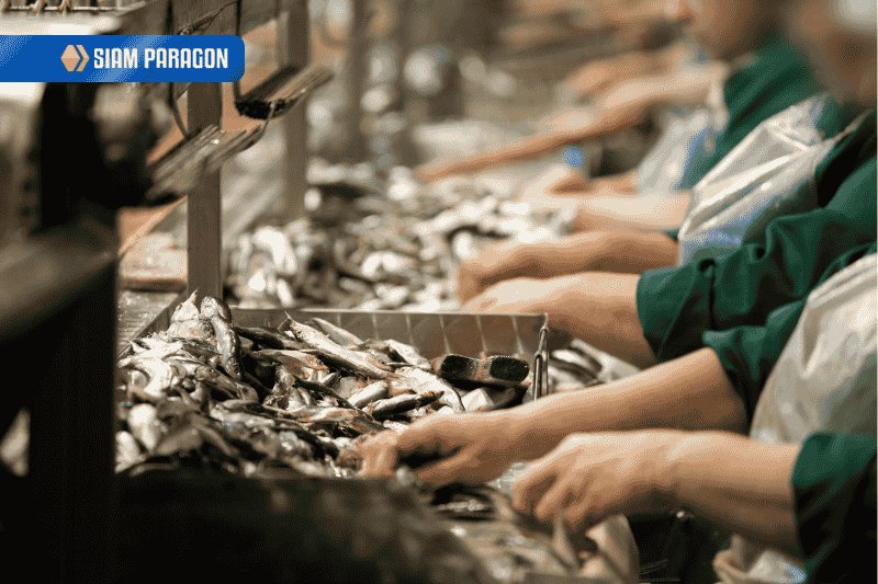 ขีดเขียนดอทคอม