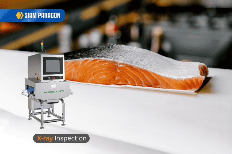 ขีดเขียนดอทคอม