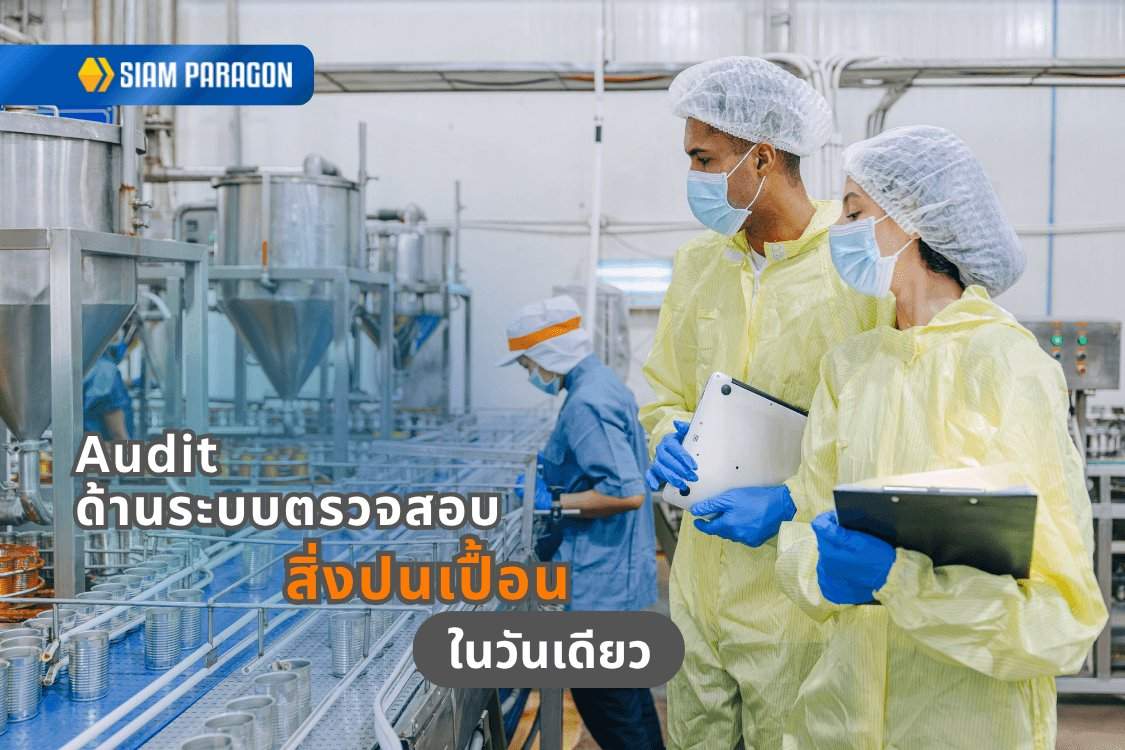 ขีดเขียนดอทคอม